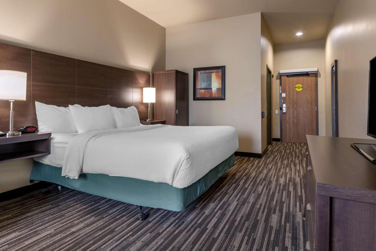 Best Western Plus Dartmouth Hotel & Suites Экстерьер фото